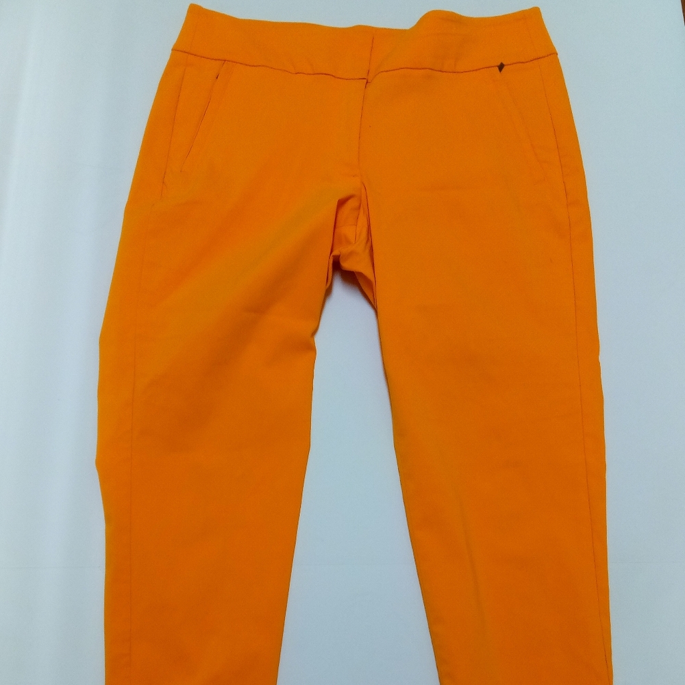 Lane Bryant Pants